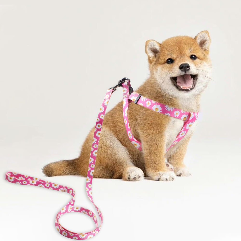QQPETS arnés perro material poliéster suave, cómodo en el cuello.