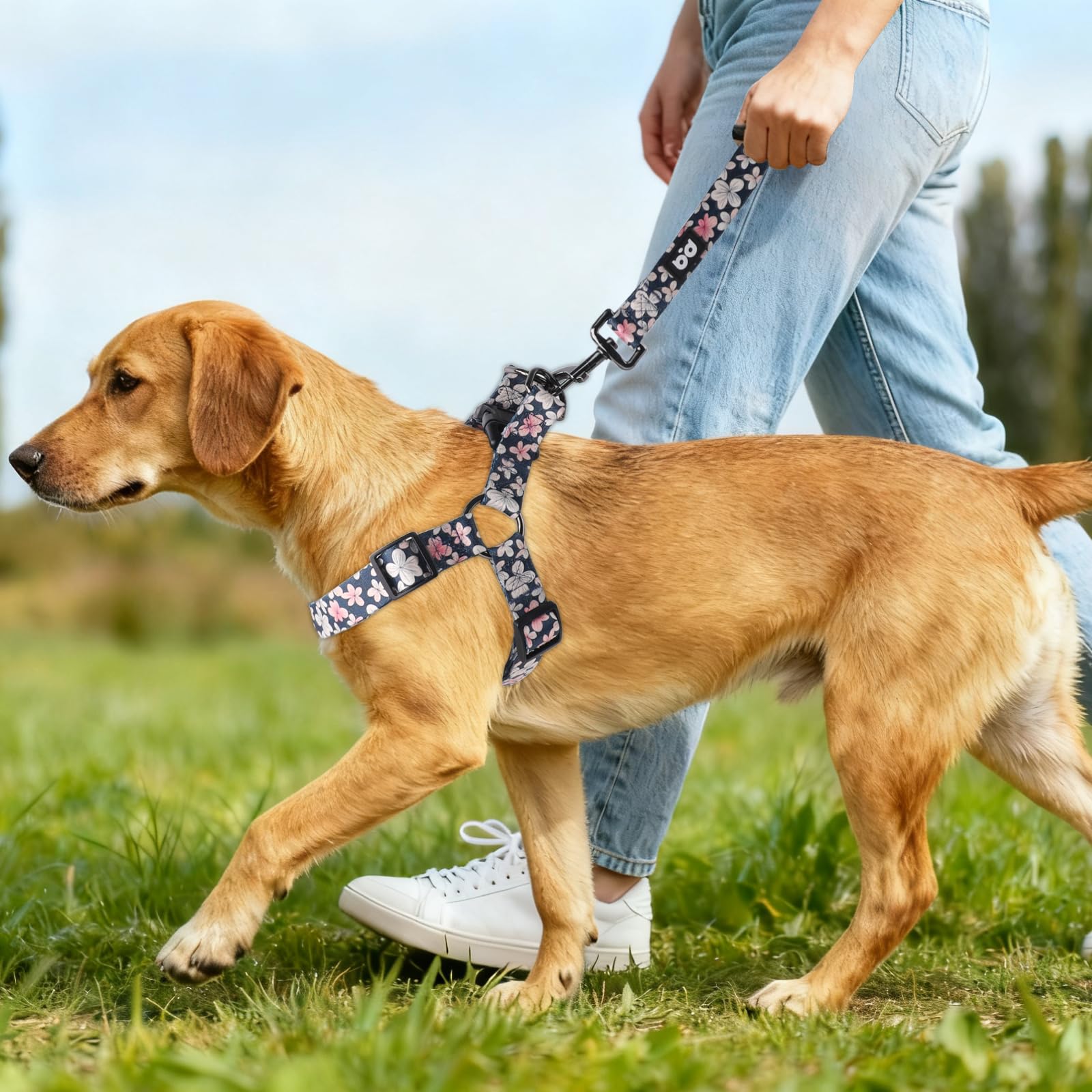 QQPETS arnés para paseos diarios con seguridad y confort