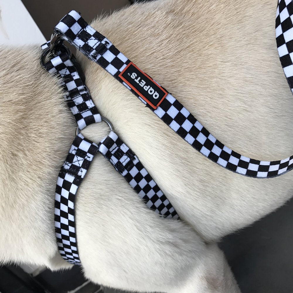 QQPETS arnés resistente para uso diario, soporta múltiples caminatas