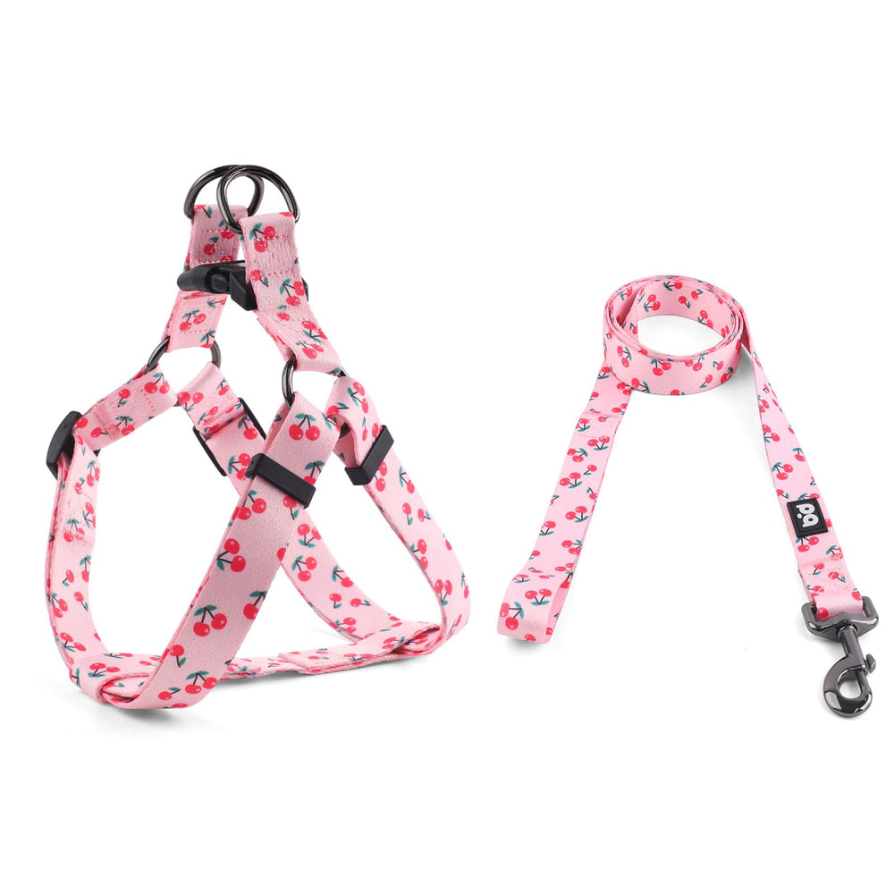 QQPETS arnés para perro con patrón rosa Sakura, paseo con estilo.