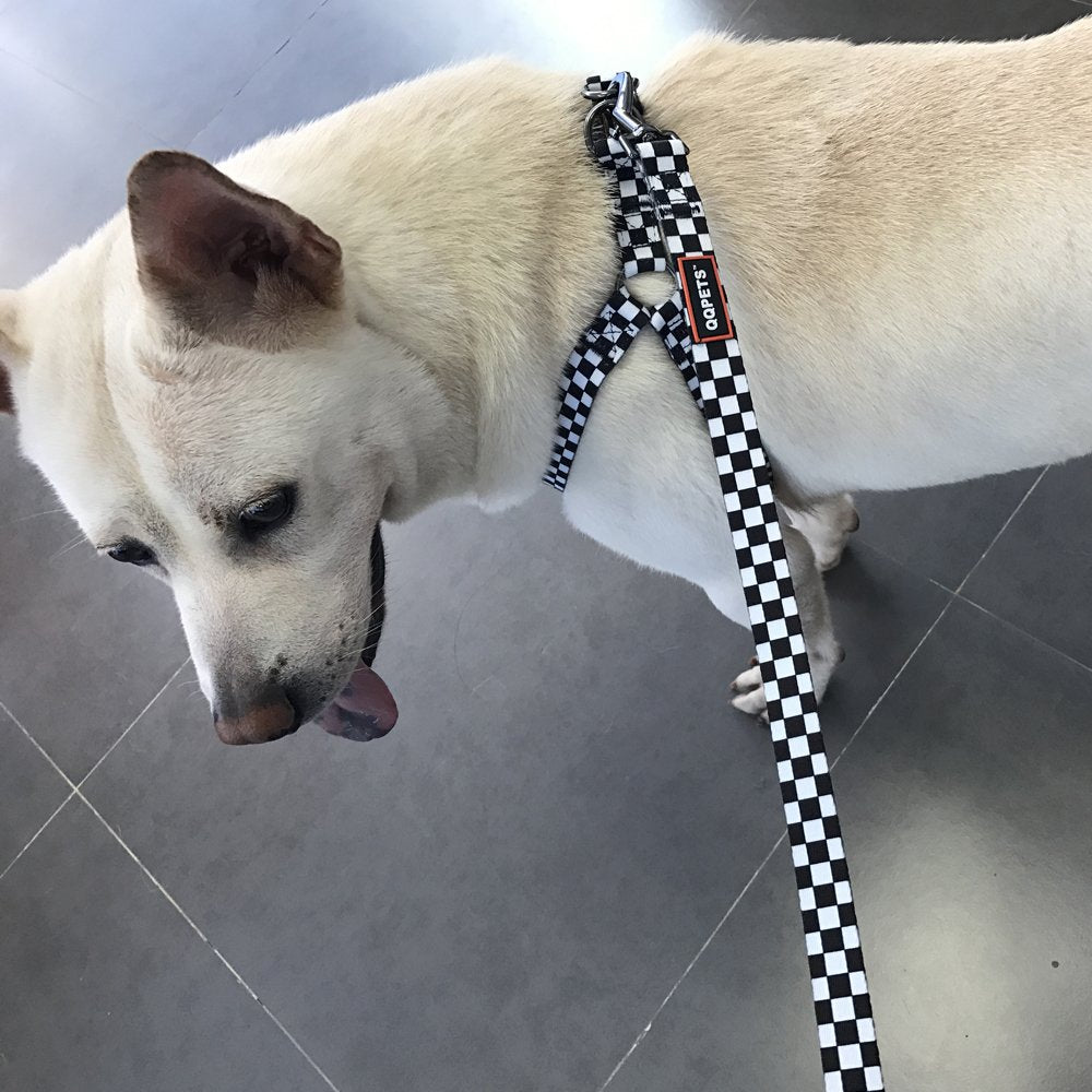 QQPETS arnés-perro talla XS negro plaid para razas pequeñas