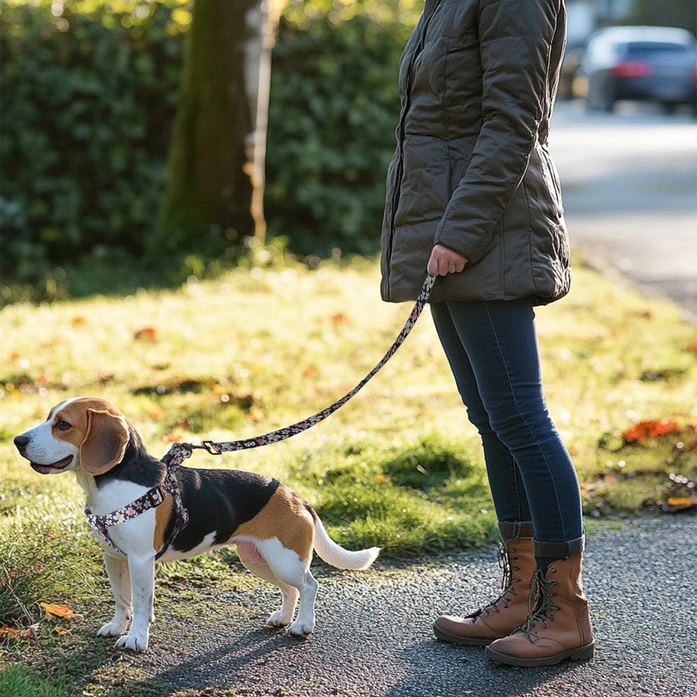 QQPETS arnés tamaños XS a XL para perros de diferentes razas