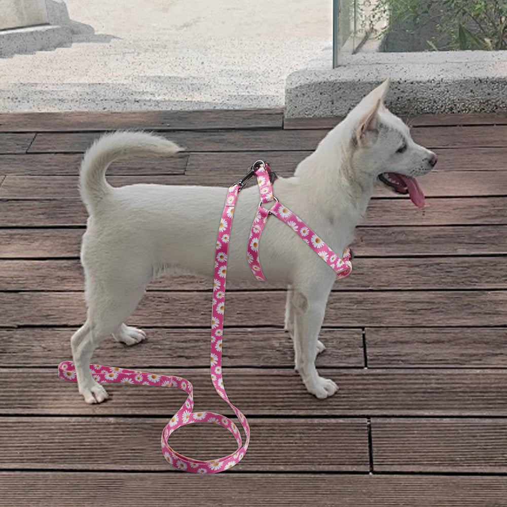 QQPETS Arnés de poliéster suave para el cuello del perro.