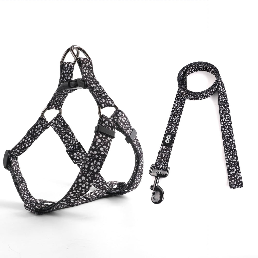 QQPETS conjunto frontal de arnés y correa ajustables para caminatas seguras.