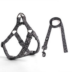 QQPETS conjunto frontal de arnés y correa ajustables para caminatas seguras.