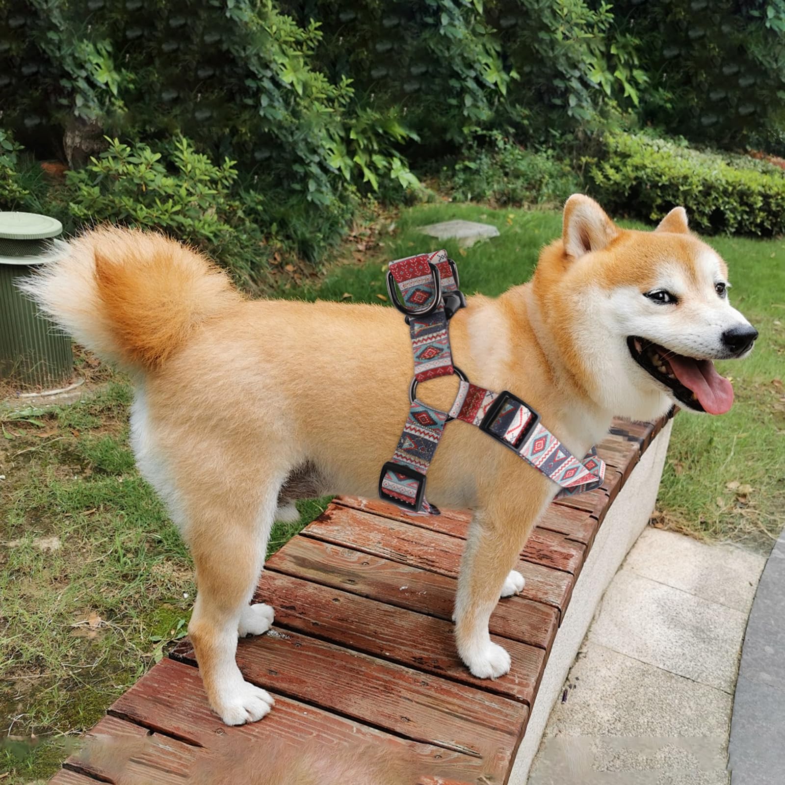 QQPETS arnés y correa ajustables, talla S, ideal para perros pequeños.