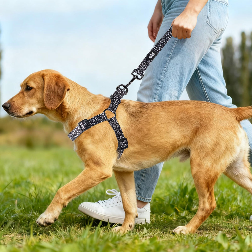 QQPETS caminata con arnés y correa, diseño cómodo.