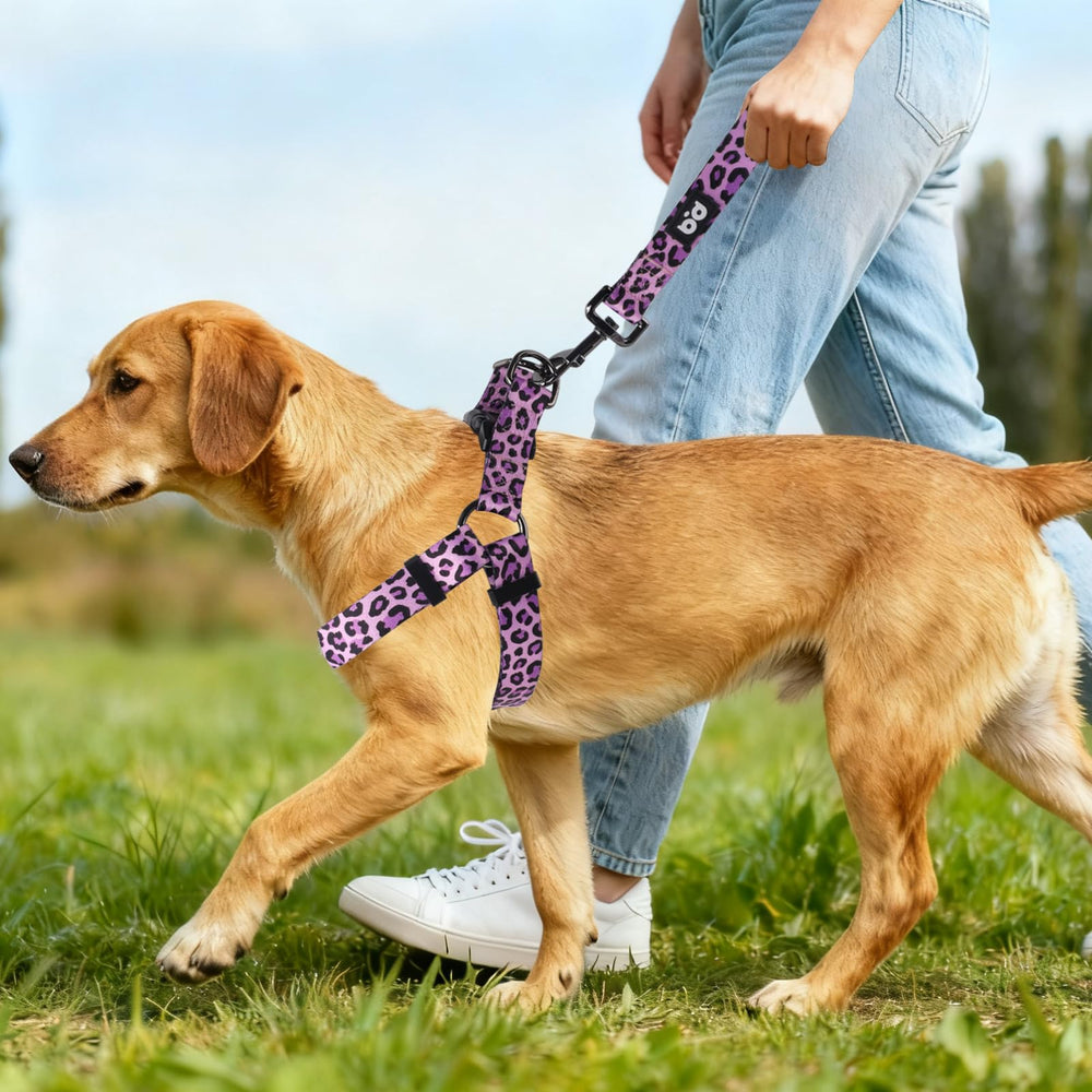 QQPETS clip trasero anti-torsión para paseos fluidos