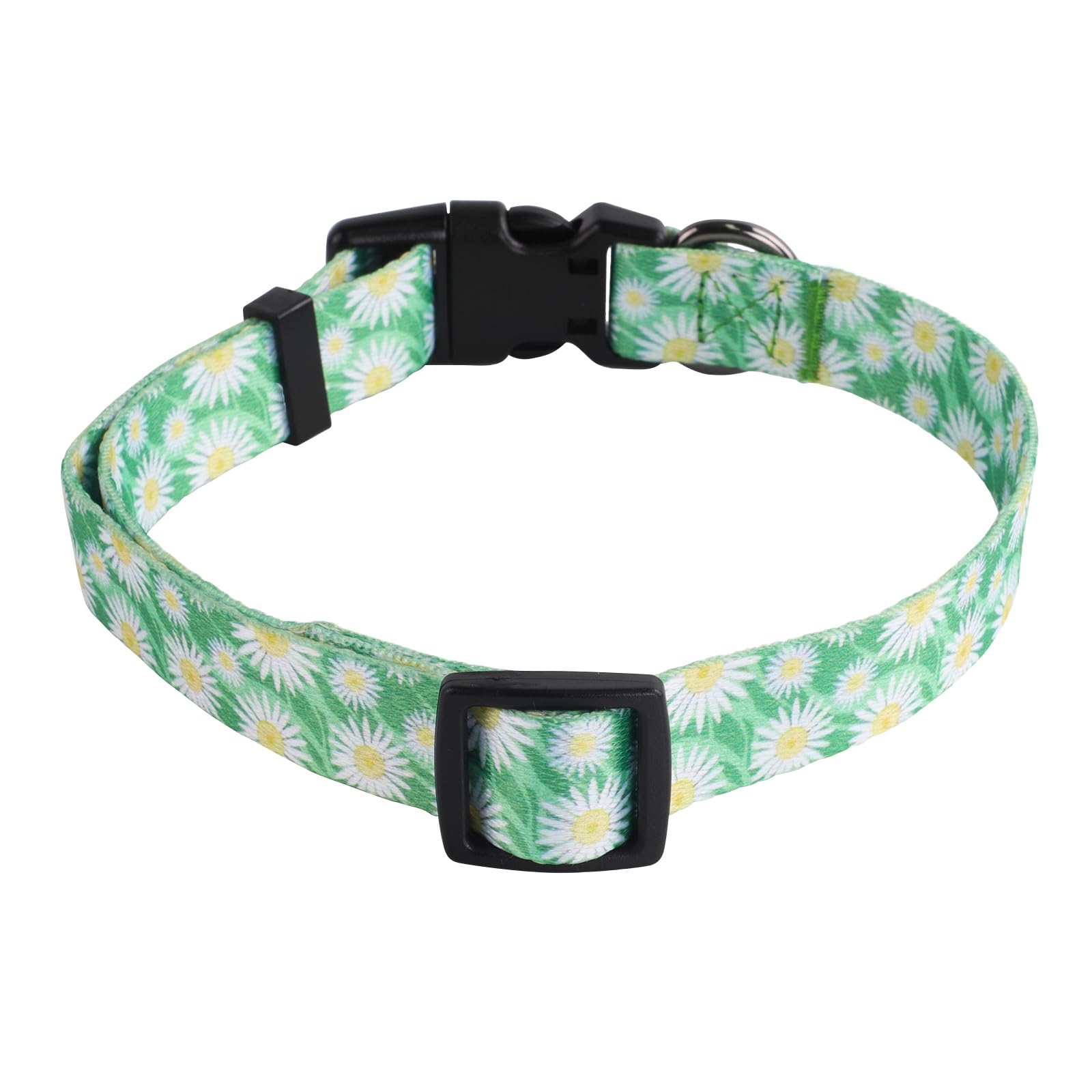 Ajuste regulable para comodidad durante caminatas con QQPETS
