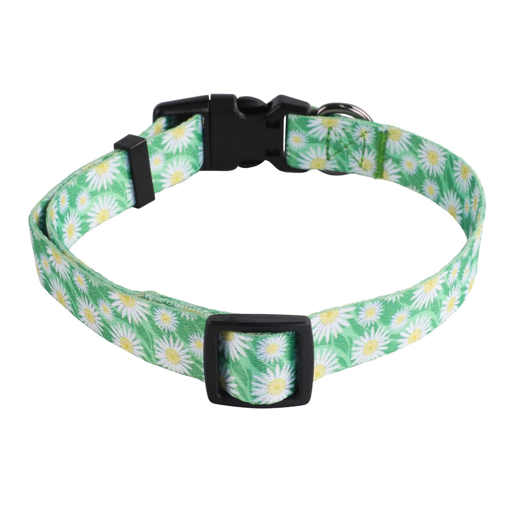 Ajuste regulable para comodidad durante caminatas con QQPETS