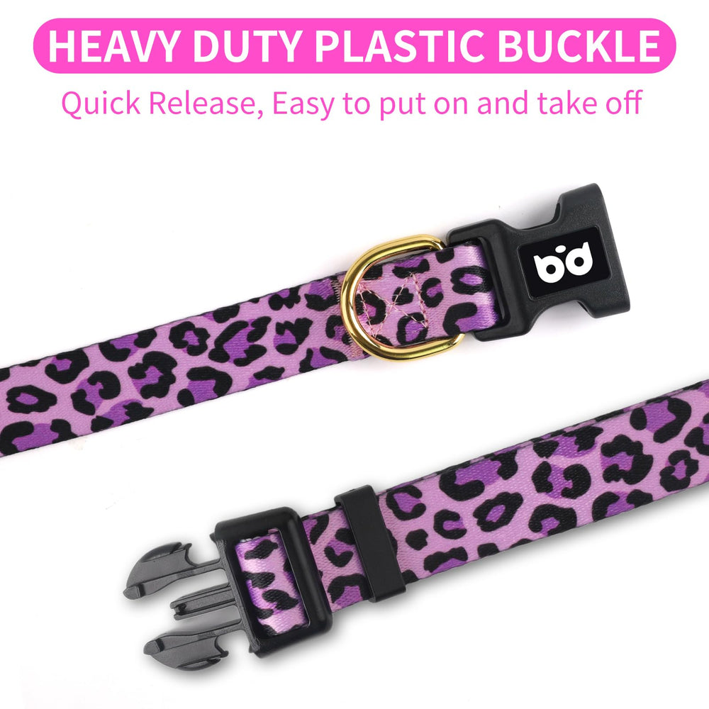QQPETS collar ajustable diseño floral rosa, perfecto para entrenamientos ligeros.