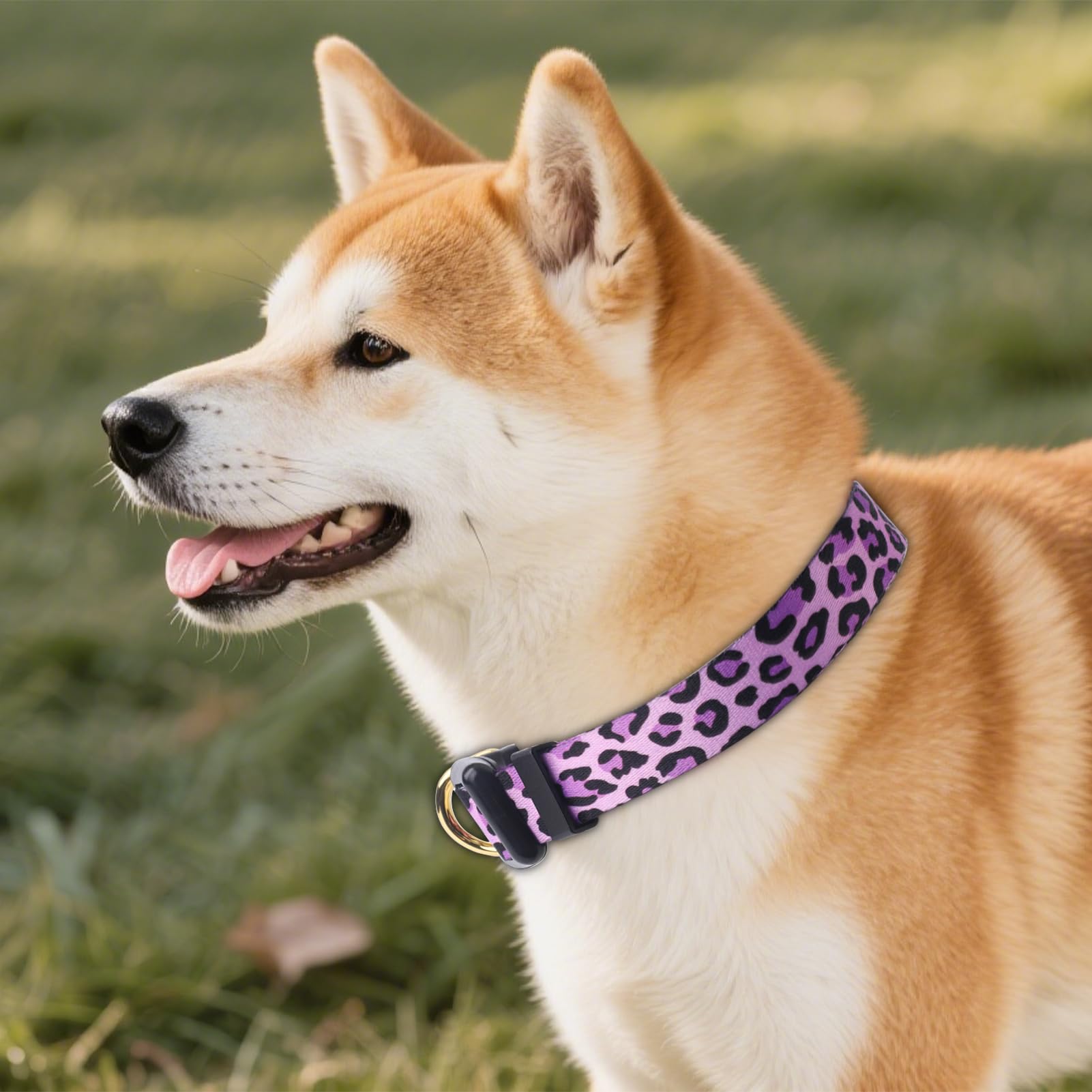 QQPETS collar ajustable con estampado floral, ideal para distinguir a tu perro en la calle.