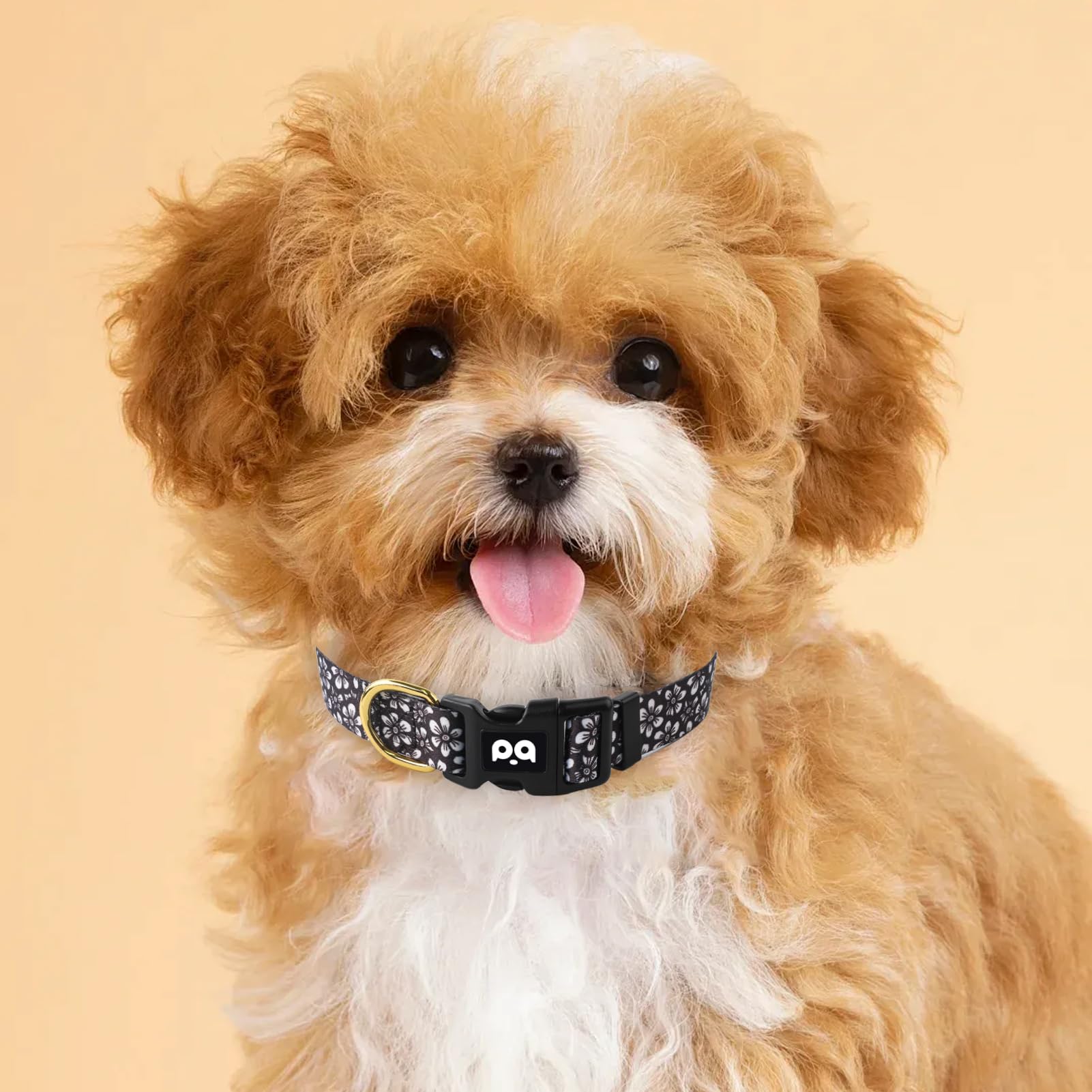 QQPETS diseño llamativo facilita encontrar a tu mascota en espacios públicos.