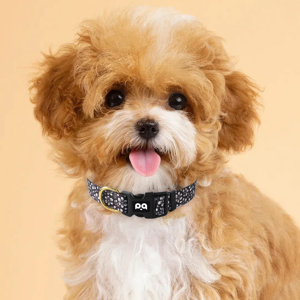QQPETS diseño llamativo facilita encontrar a tu mascota en espacios públicos.