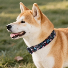 QQPETS collar con hebilla rápida ABS, fácil de poner durante salidas.