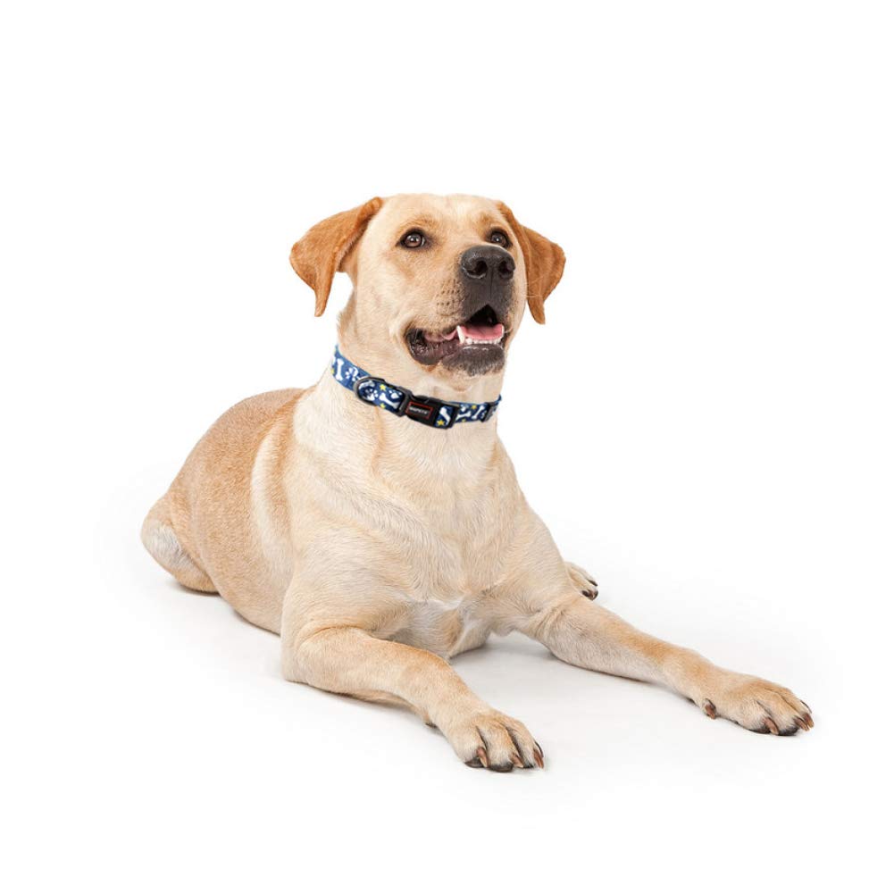 QQPETS collar ajustable para tamaños XS a XL cómodo y seguro