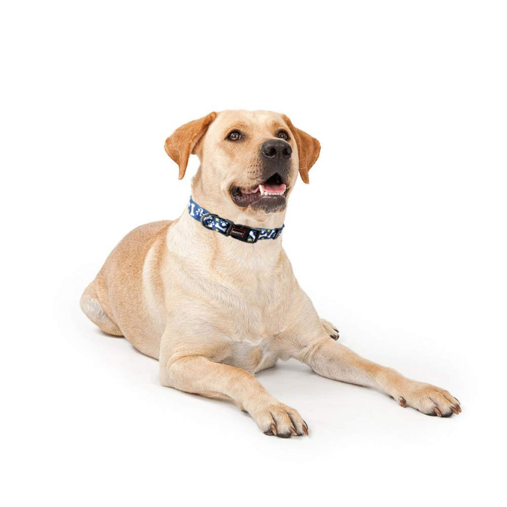 QQPETS collar ajustable para tamaños XS a XL cómodo y seguro