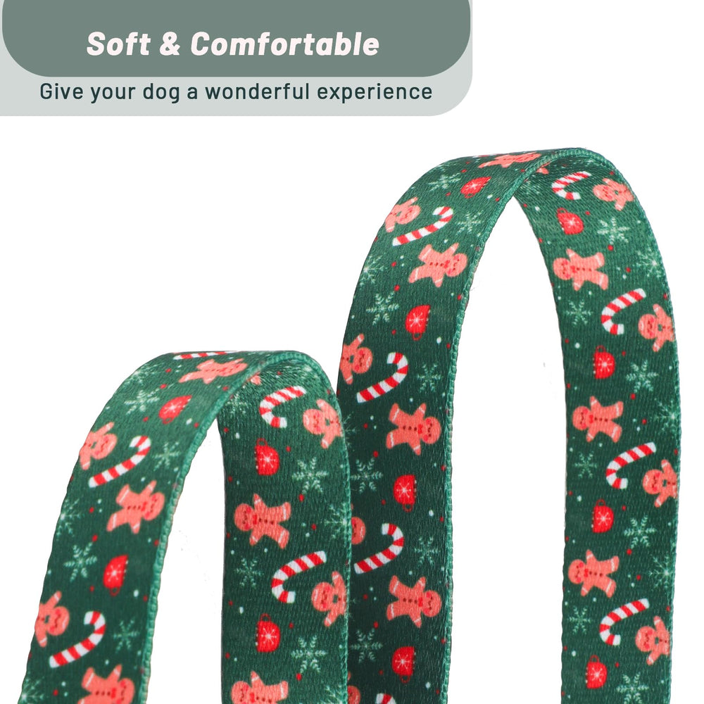 Collar QQPETS con aro de zinc recubierto para mayor durabilidad