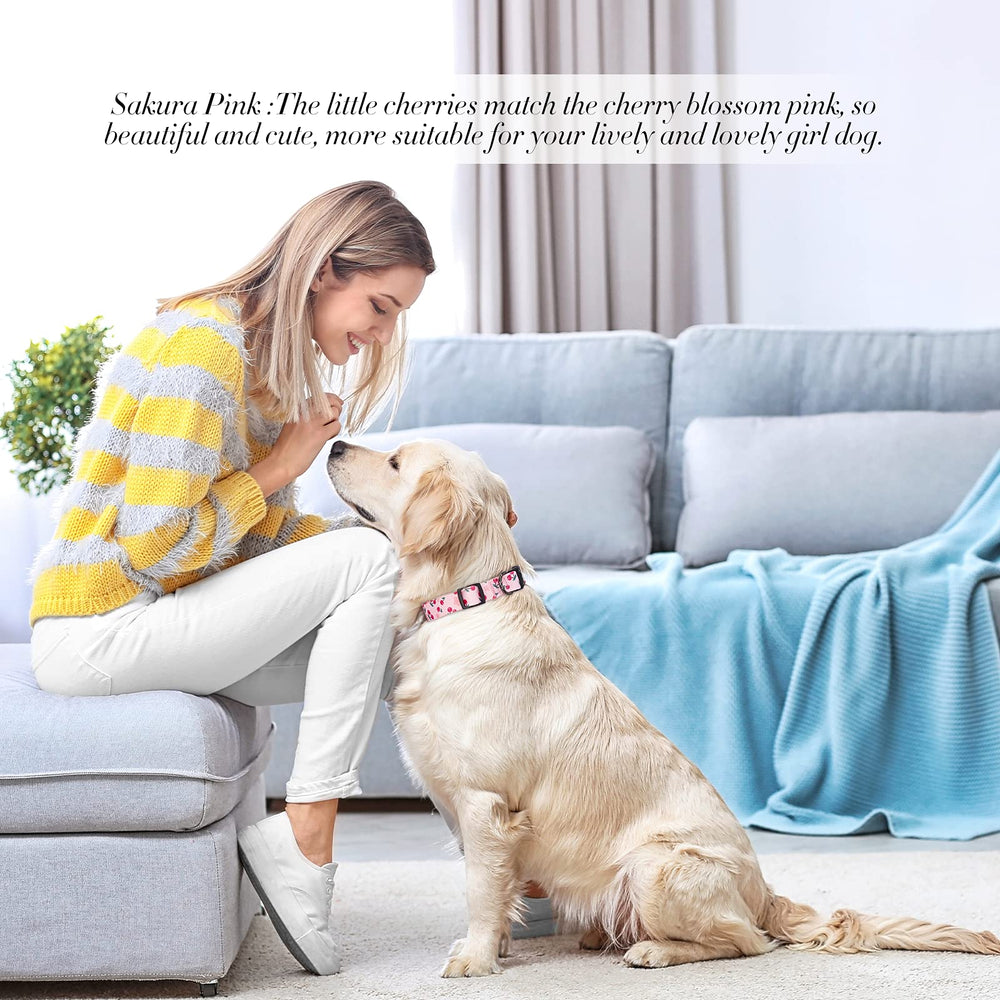 QQPETS diseño colorido facilita encontrar al perro