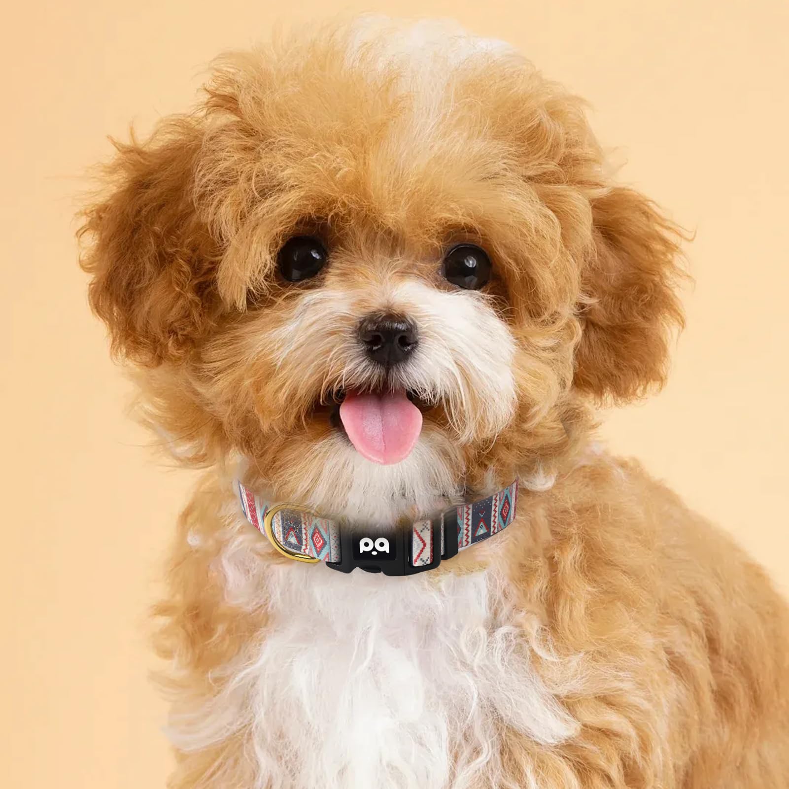 QQPETS collar fácil de limpiar y mantener después de juegos al aire libre