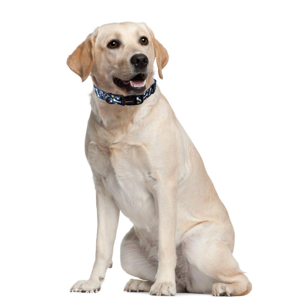 QQPETS collar fácil de lavar a mano para limpieza rápida