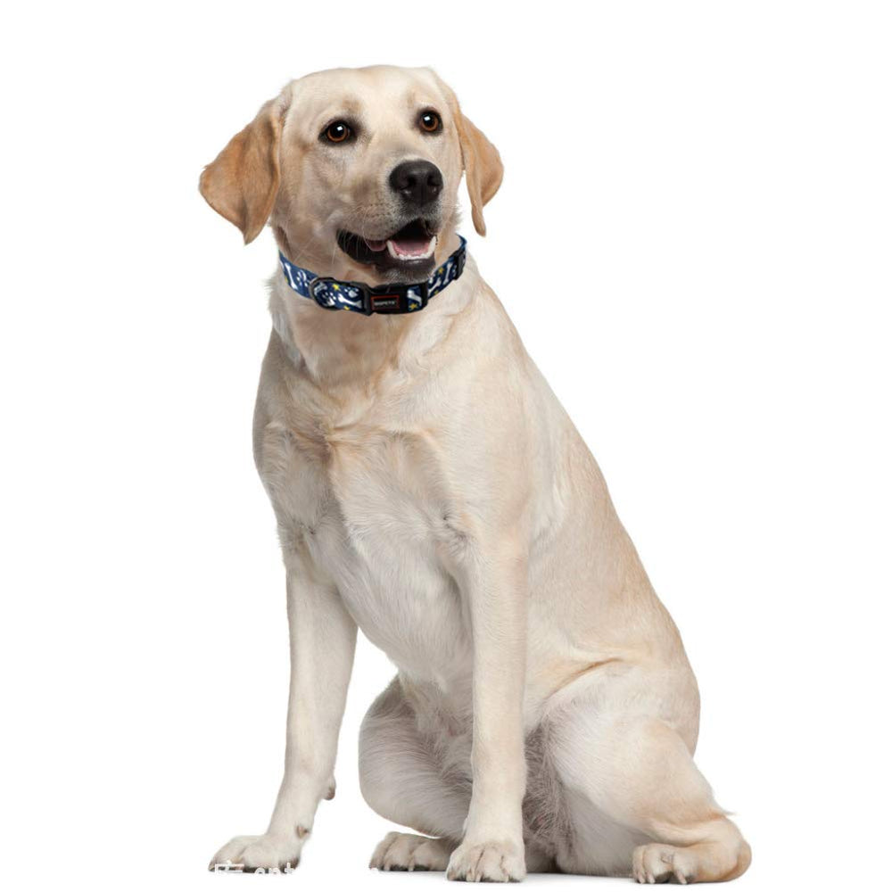 QQPETS collar fácil de lavar a mano para limpieza rápida