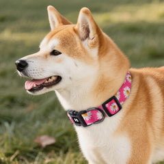 Collar QQPETS patrón floral multicolor para paseos diarios