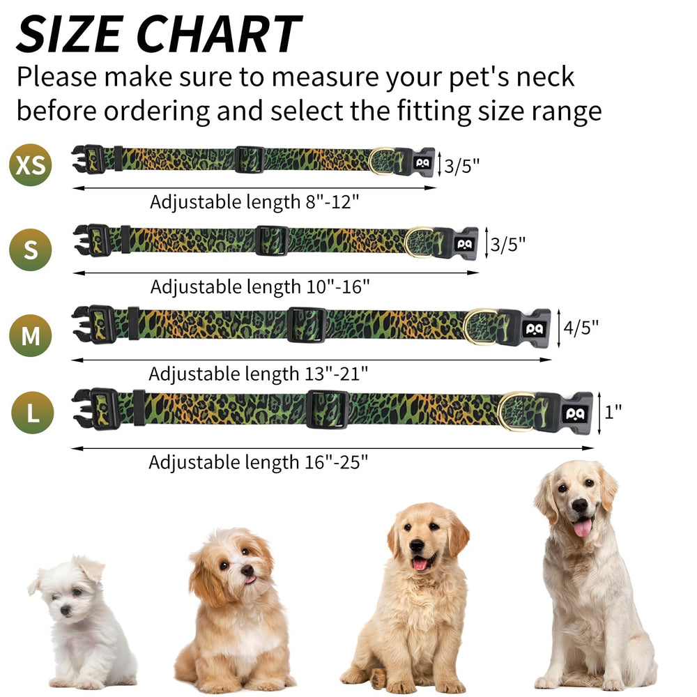 Fácil de lavar a mano, collar QQPETS para uso diario.