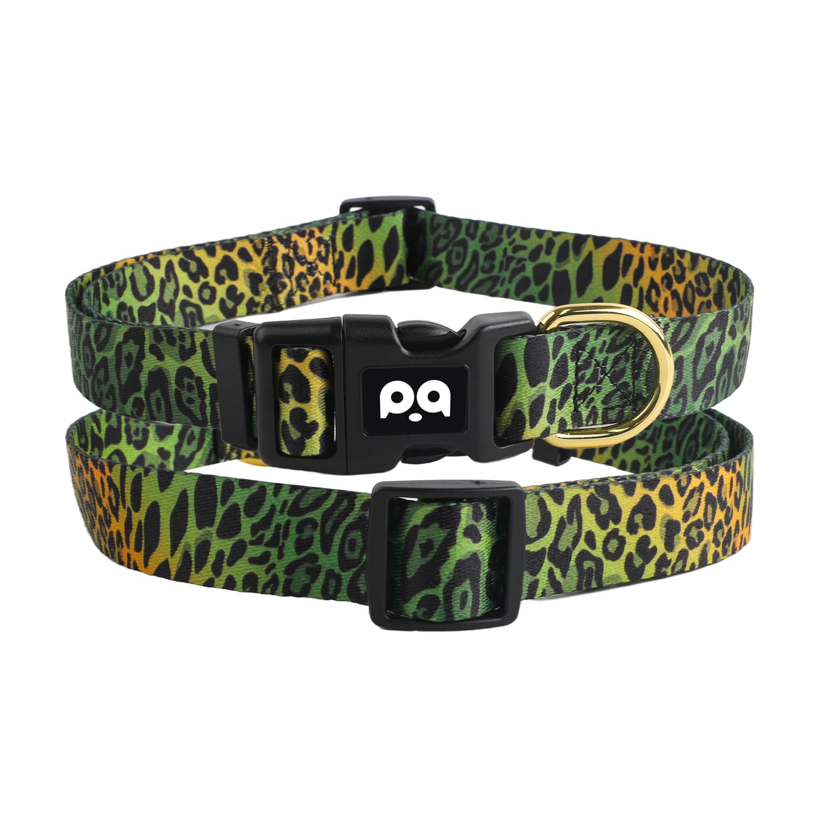 Ideal para paseos diarios y entrenamiento ligero con QQPETS.