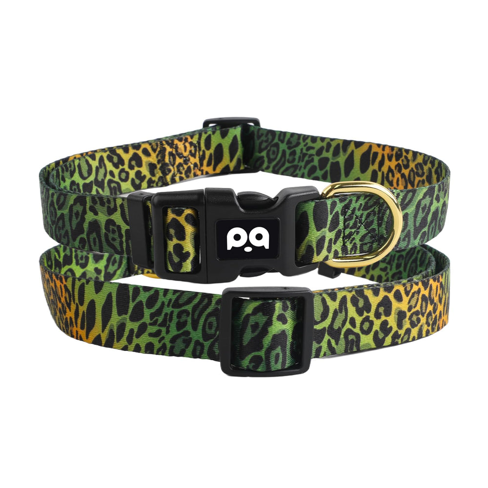 Ideal para paseos diarios y entrenamiento ligero con QQPETS.