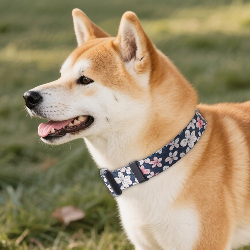 Collar QQPETS ajustable con estampado floral multicolor para perros con estilo.