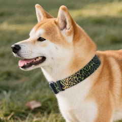 Collar multicolor de QQPETS facilita localizar a la mascota en caminatas.