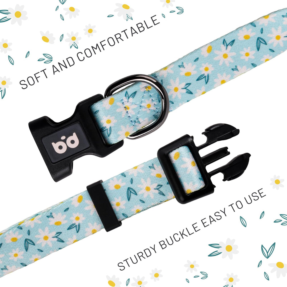 QQPETS collar perro ajuste cómodo para todas las tallas