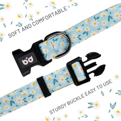 QQPETS collar perro ajuste cómodo para todas las tallas