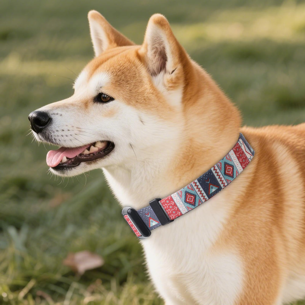 QQPETS collar con diseño floral multicolor para perros pequeños