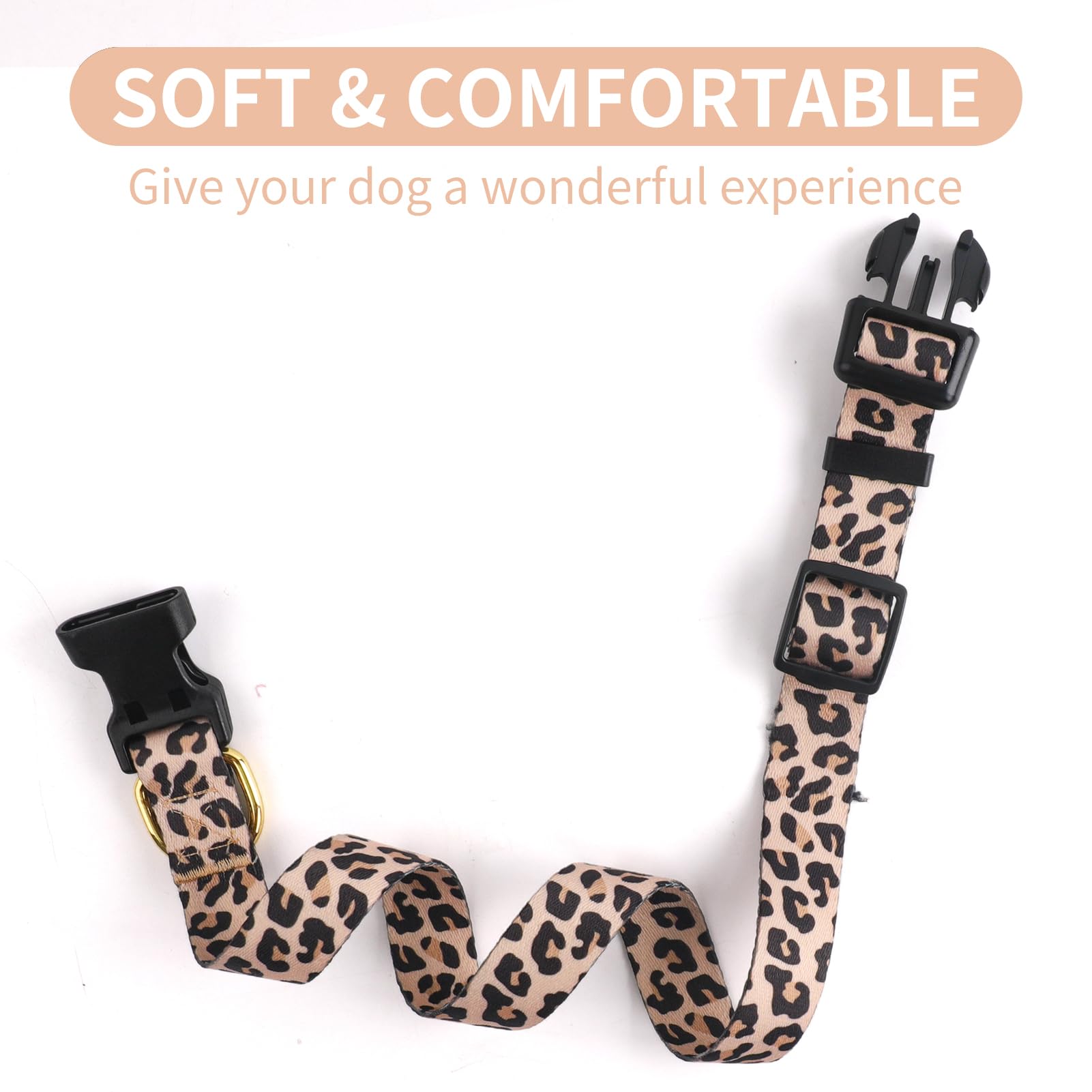 Diseño lavable de QQPETS, fácil de limpiar tras salidas.