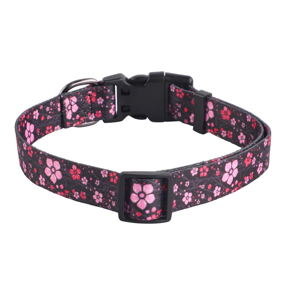 Collar QQPETS fácil de lavar a mano para uso diario
