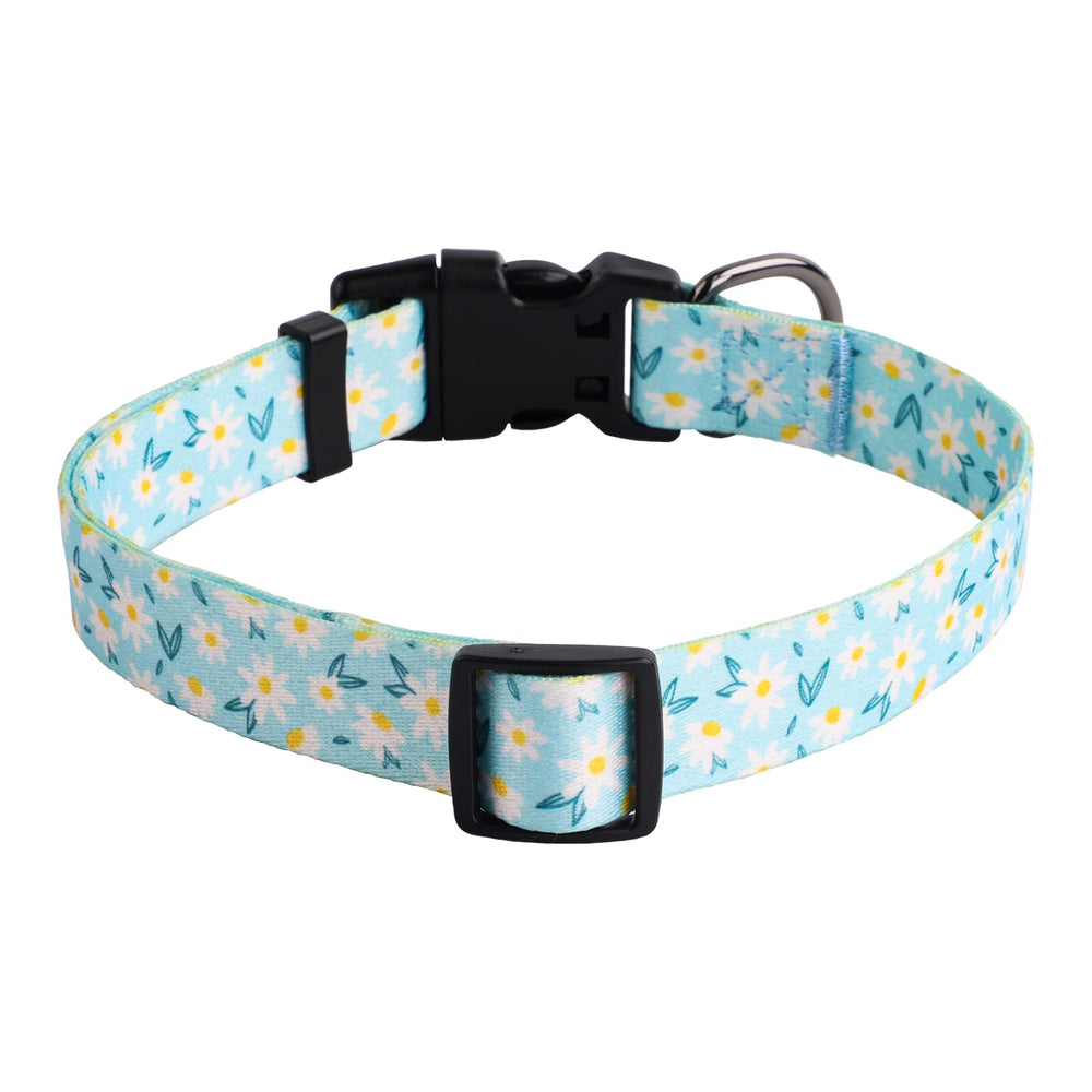QQPETS collar perro paseo diario seguro y cómodo