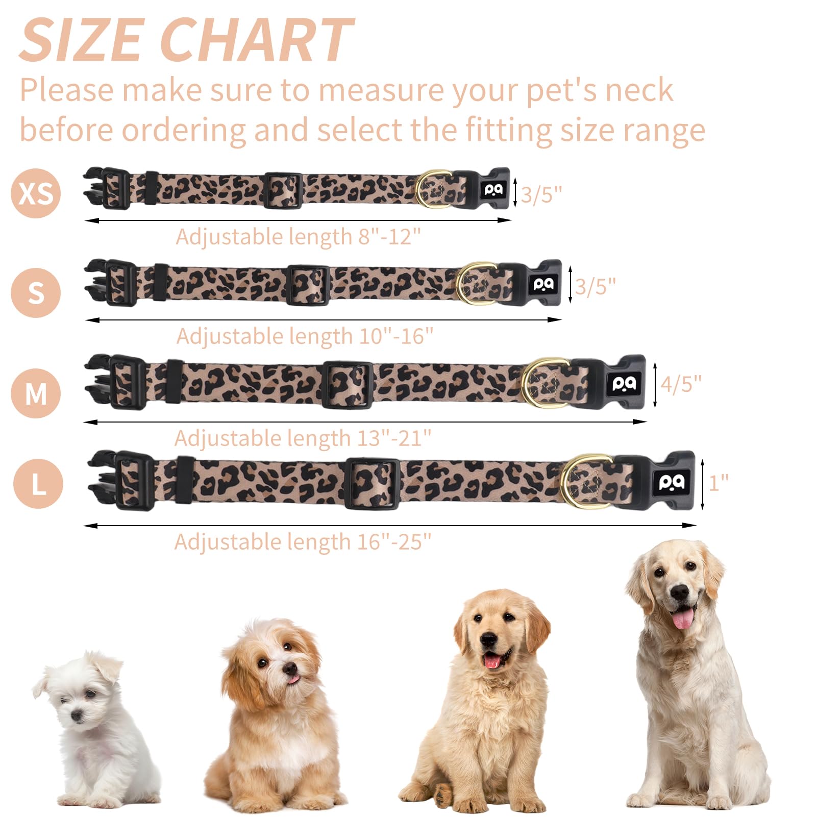 Collar QQPETS, acabado resistente a la intemperie, diseñado para uso diario al aire libre.