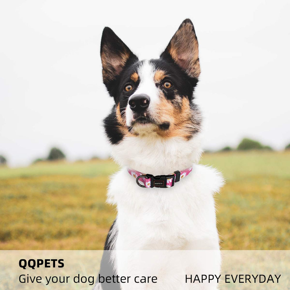 Tacto suave de QQPETS, cómodo para uso diario