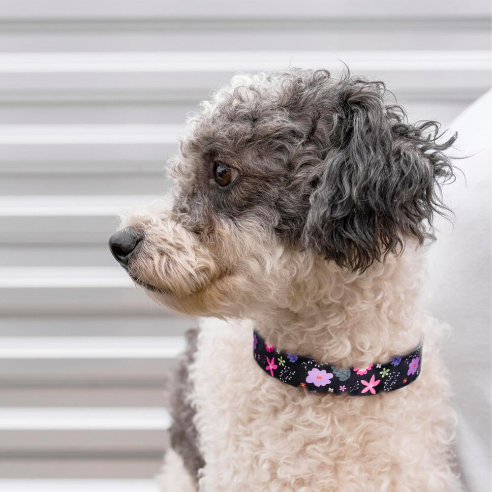 QQPETS collar con diseño floral para reconocer a tu mascota.