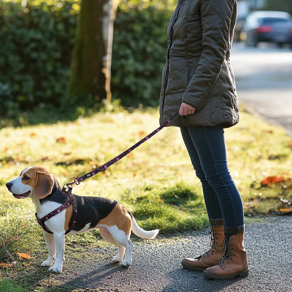 QQPETS conjunto arnés y correa para paseos diarios y entrenamientos.