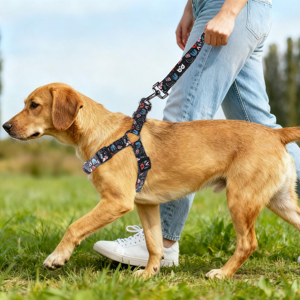 QQPETS correa de 5 pies, longitud cómoda para caminatas largas