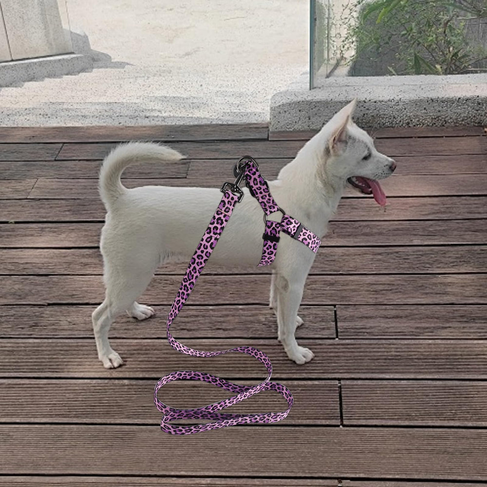 QQPETS correa de cinco pies para paseos cómodos