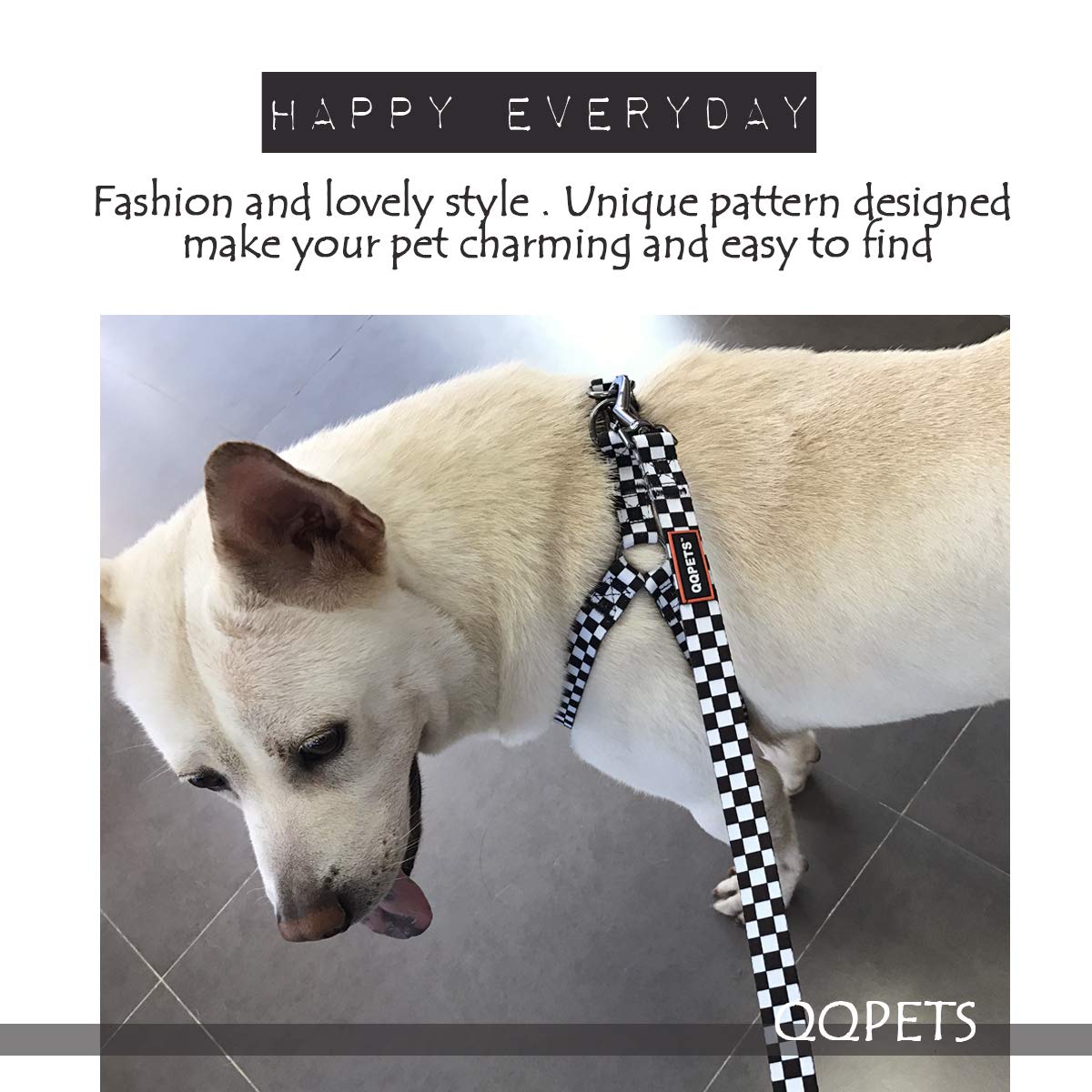 QQPETS correa de 5 pies, longitud ideal para paseos cómodos
