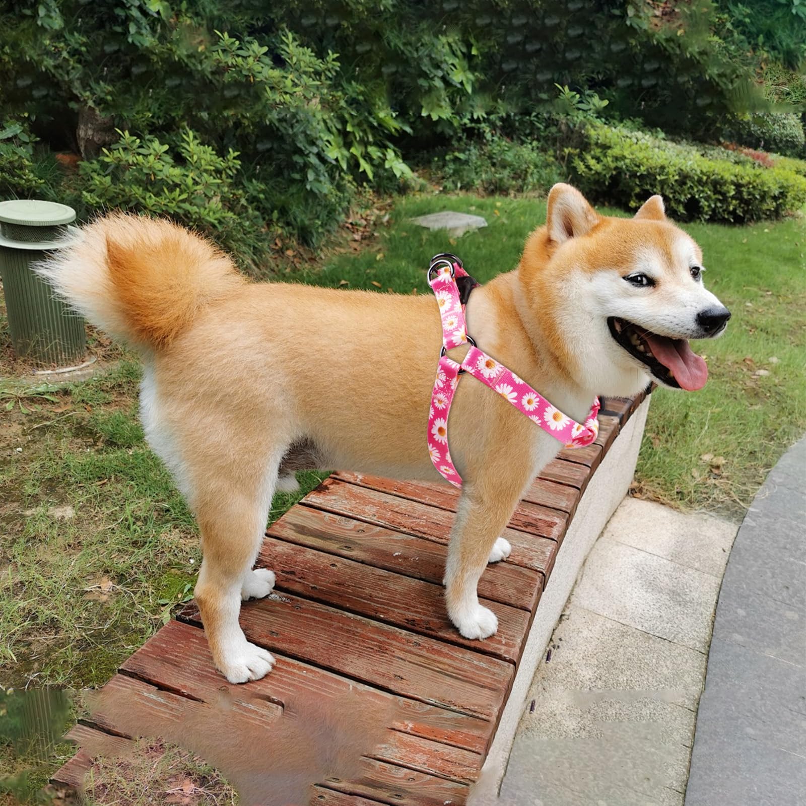 QQPETS Correa ergonómica para paseos cómodos con perros de todas las tallas.