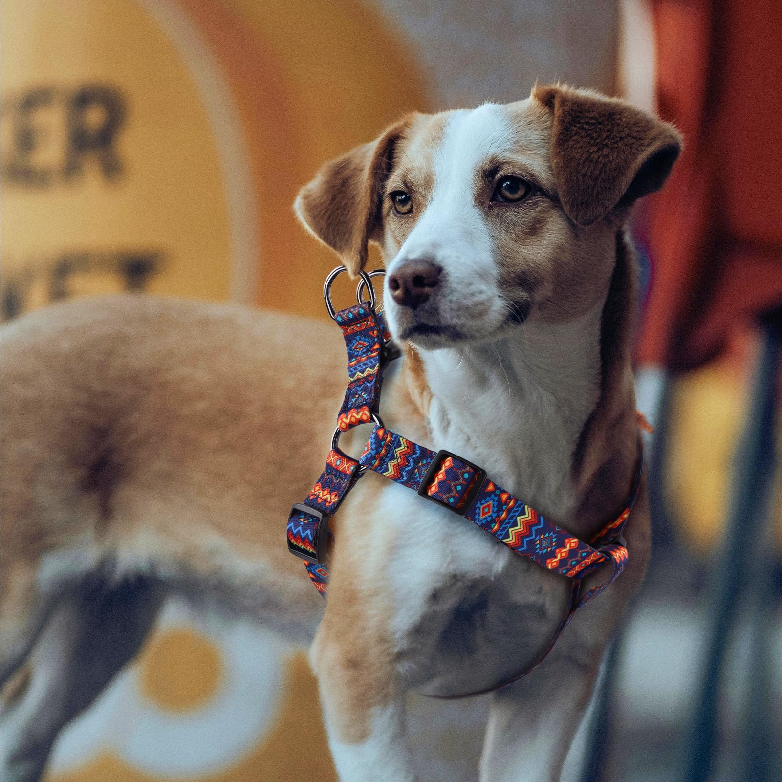 QQPETS correa de cinco pies para perro, longitud práctica para caminatas estables.
