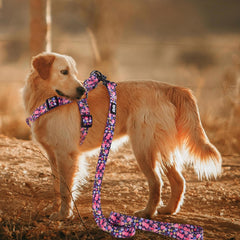 QQPETS correa para perro 5 pies, ideal para paseos controlados.