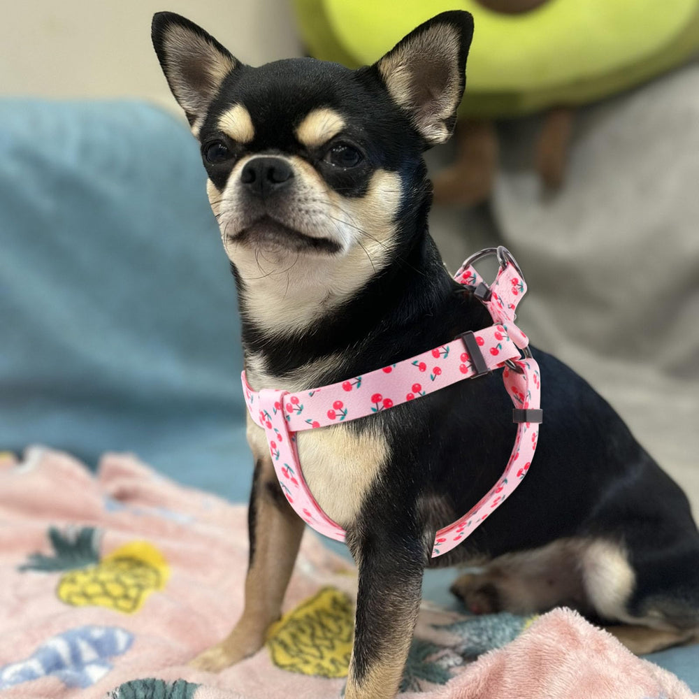 QQPETS correa rosa Sakura, anchura y uso seguro para paseos.