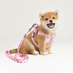 QQPETS correa para perro rosa Sakura, longitud cómoda para paseos.